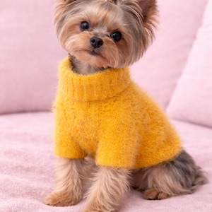 May include: A small dog with brown and tan fur wearing a bright yellow turtleneck sweater. The dog is sitting on a pink surface, with a pink background. The dog has a small black hair accessory.