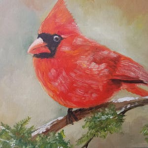 Original Oil Painting Portrait Bird Cardinal Small Art 8x10