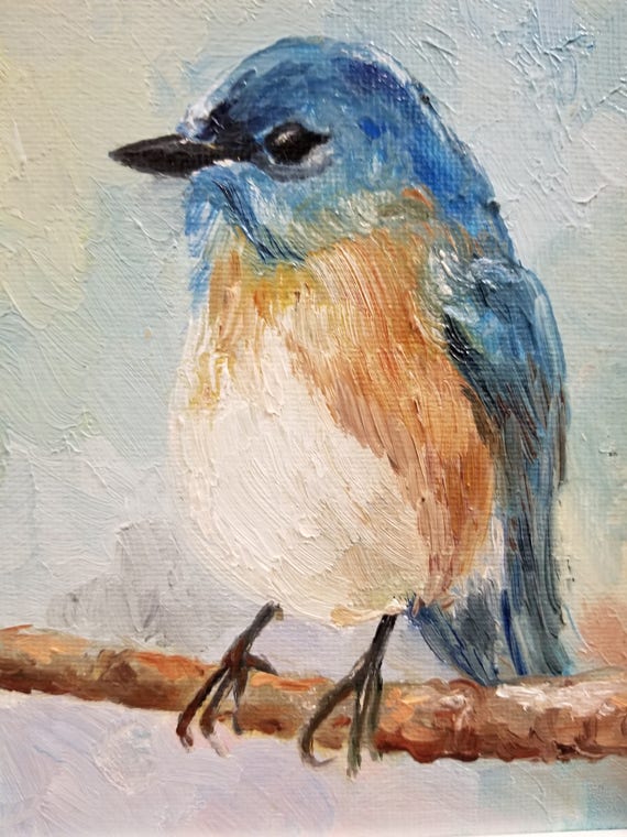 Bluebird Original Oil Portrait Art Nature