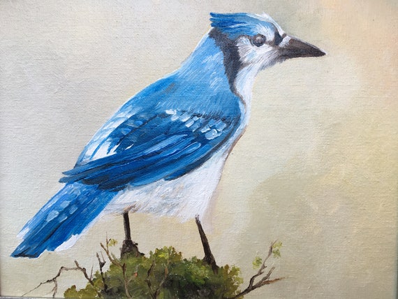 Blue Jay Original Oil Painting Bird Portrait Artwork