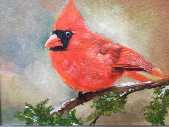 Red cardinal