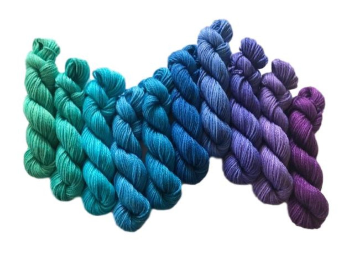 Hand Dyed Yarn 10 Color Mini Skein Kit Vegan Fiber DK Etsy