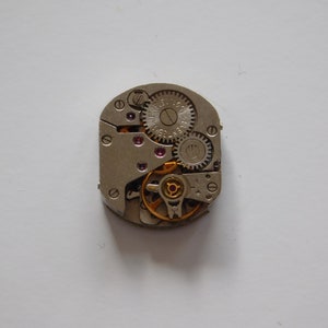 Zaria 1501.1 Movement
