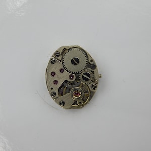 May include: A close-up of a silver watch movement with visible gears and a red jewel. The movement is circular and has a diameter of approximately 1 inch.
