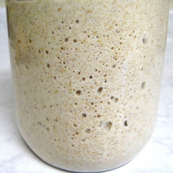 Wild Sourdough Starter, Dehydrated, Organic Whole Wheat, DIY Bread Making, Super Active, Artisan Homemade Bread Supplies, Ships From Canada