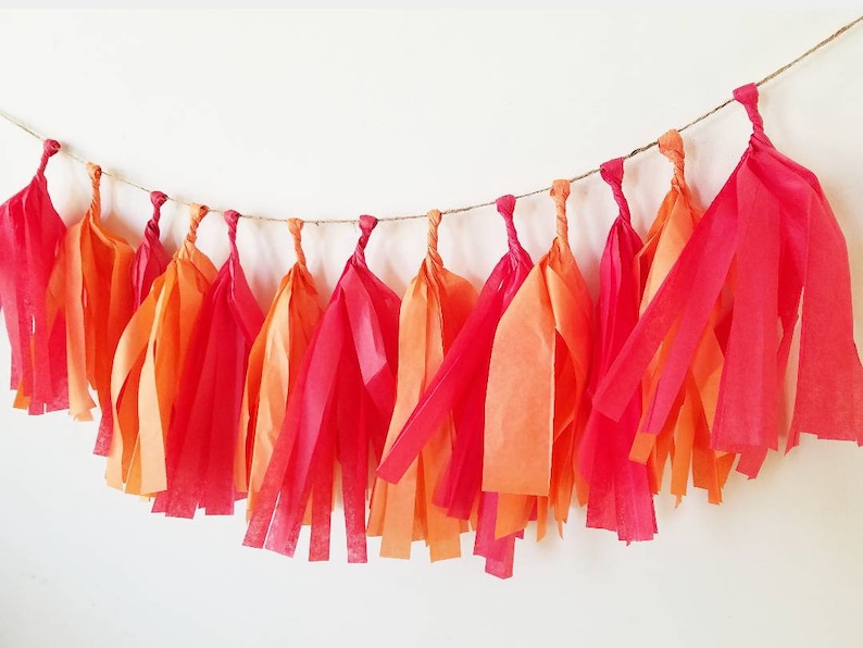 Tissue Paper Tassels,Tassel Garland,boy first birthday decor,boy cake smash banner,boy birthday banner,photo prop,high chair banner,primary