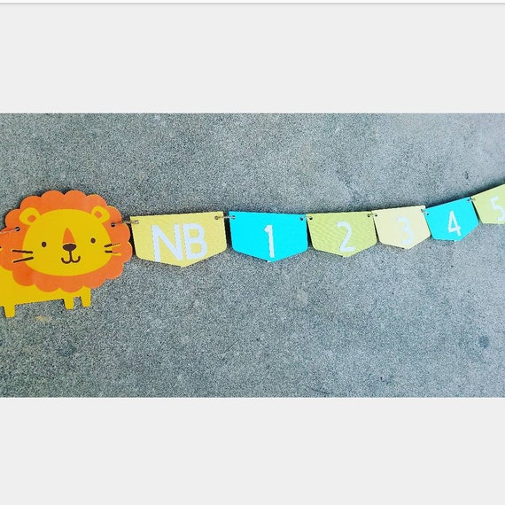 Lion birthday banner,photo banner,1st birthday banner,1st birthday decor,birthday banner,1st year photo banner,jungle birthday,safari,lion Il_570xn