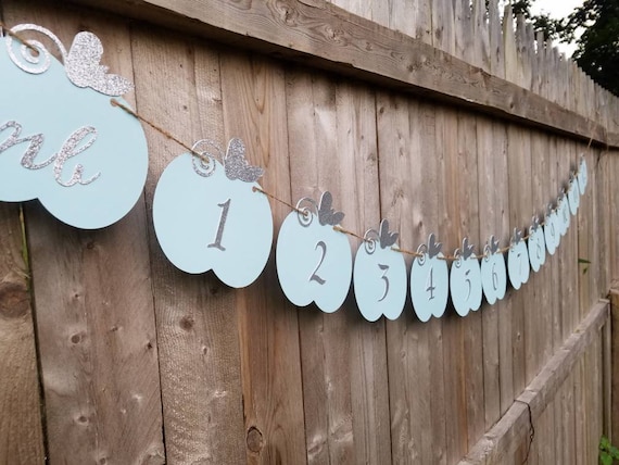 Cinderella 1st year photo banner,Cinderella photo banner,cinderella birthday banner,Cinderella 1st birthday banner,Cinderella pumpkin banner Il_570xn