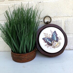 May include: A round wall plaque featuring a white ceramic center with a blue and brown butterfly illustration, set within a dark brown wooden frame with a brass hanging loop, positioned next to a cluster of green grass in a rusted metal container.