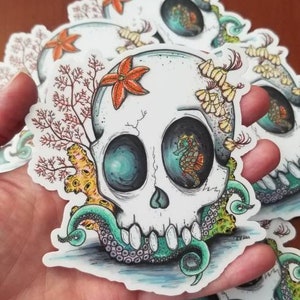 Skull with Seahorse