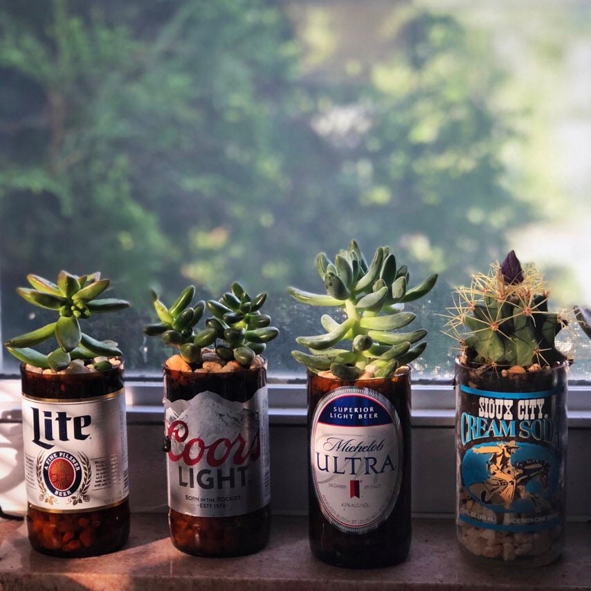 Upcycled beer bottle planter Etsy