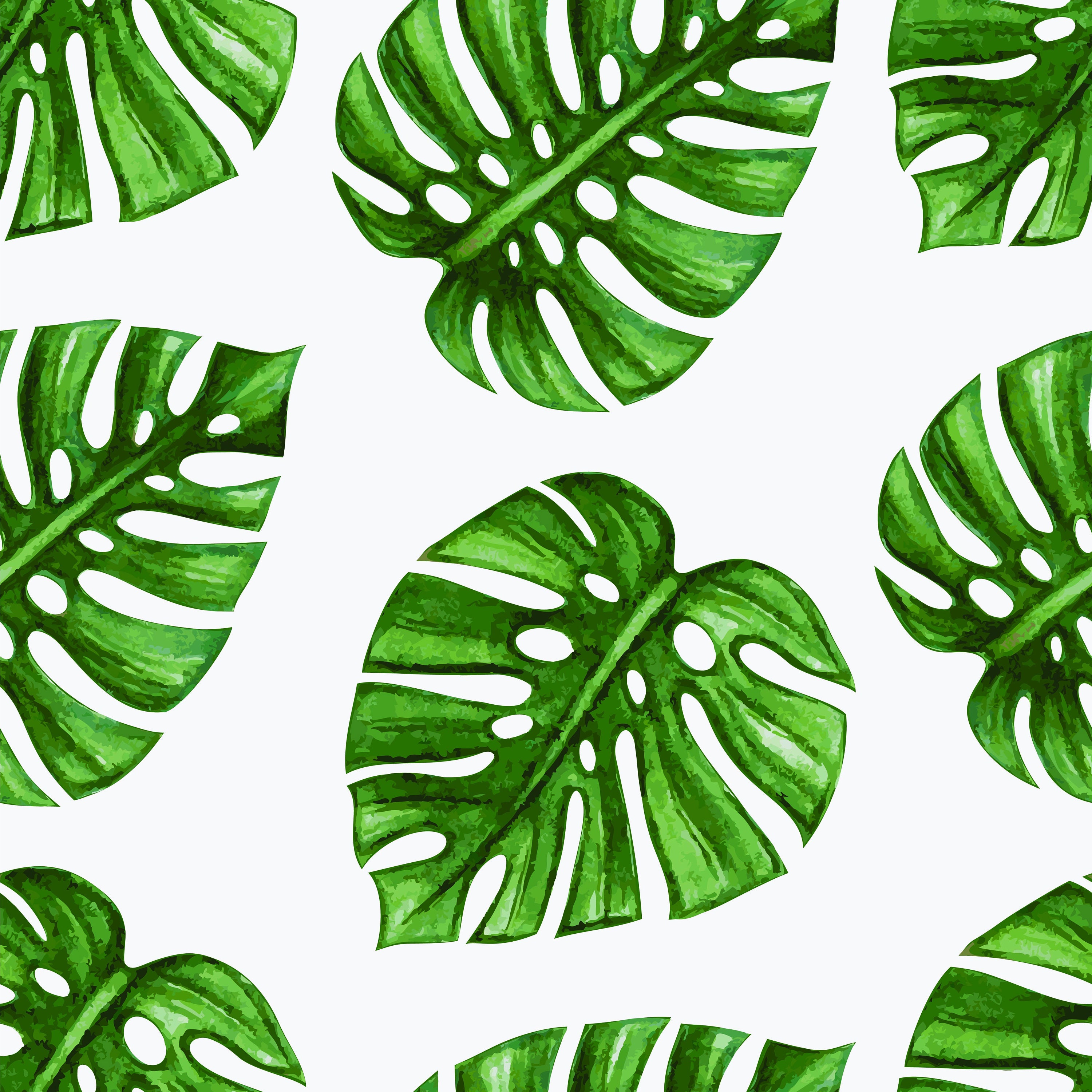 Palm Leaf Wrapping Paper Sheet Palm Leaf Gift Wrap Palm Leaf