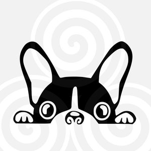 Dog face, Dog, Sizable, Vector, PDF, SVG, PNG, Silhouette, Vinyl cutter, Cricut, Cut ready, T-shirt, Poster, etc. download