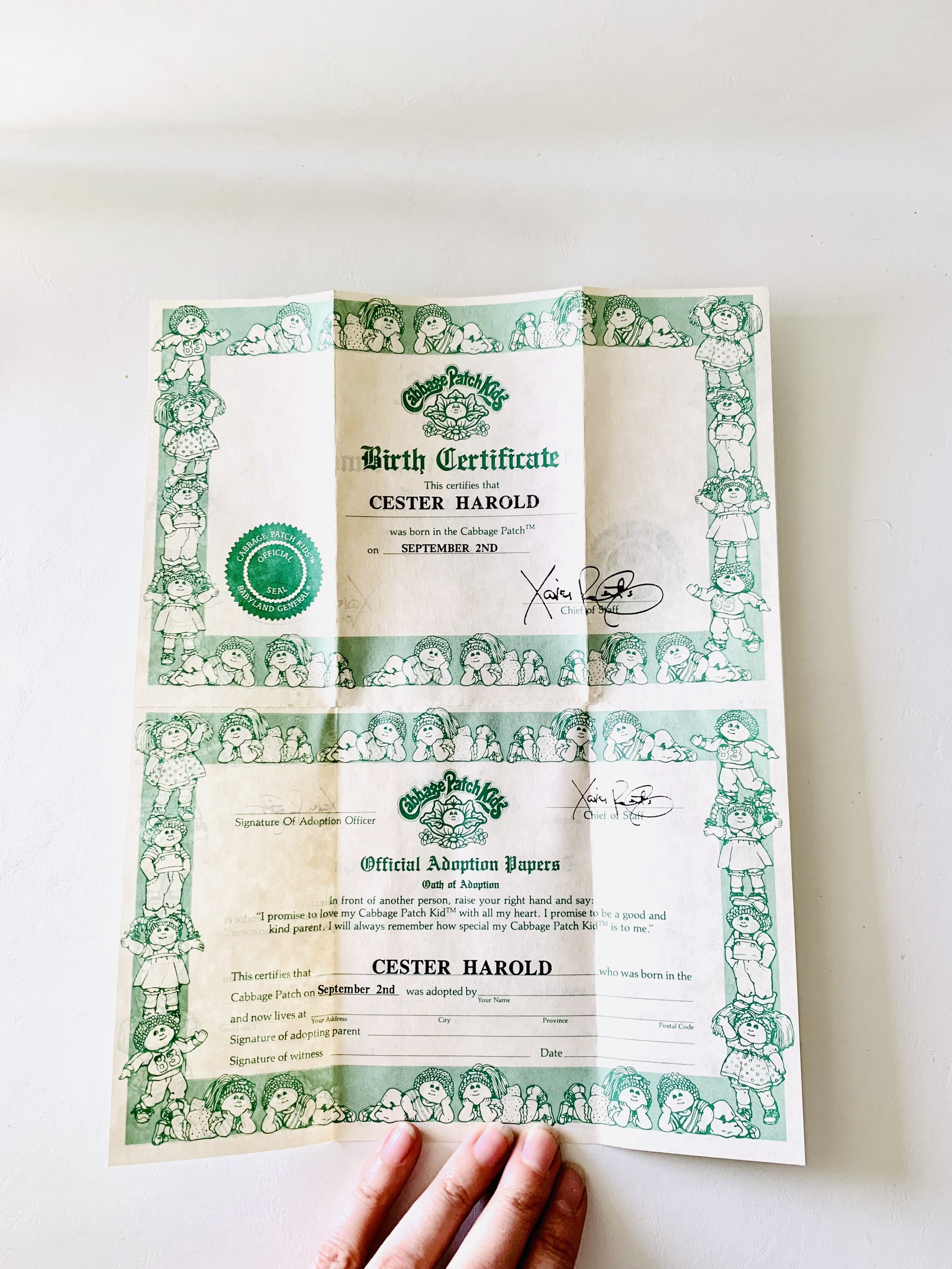 blank-cabbage-patch-birth-certificate-template-printable-form