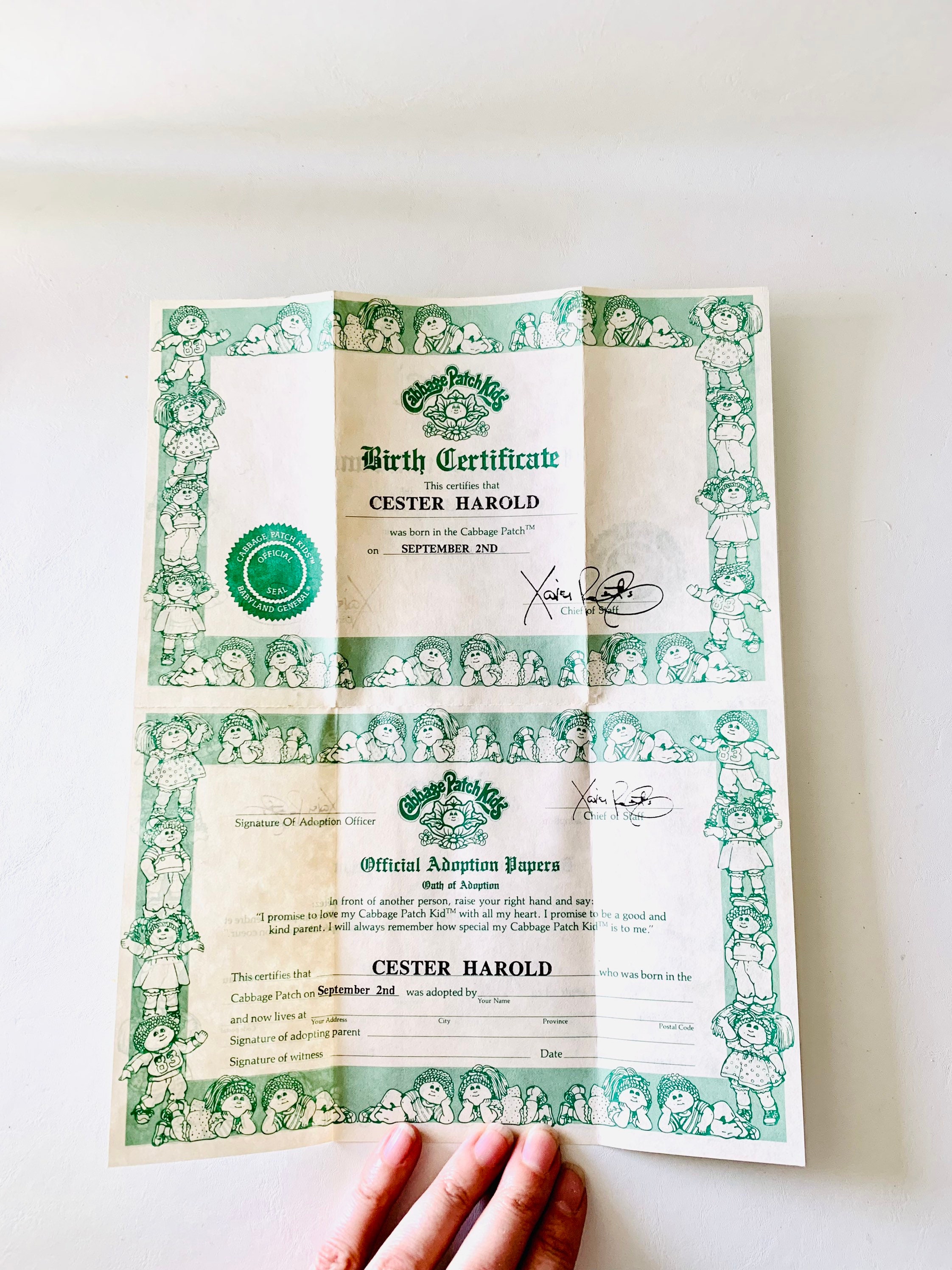 Blank Cabbage Patch Birth Certificate Template Printable Form 