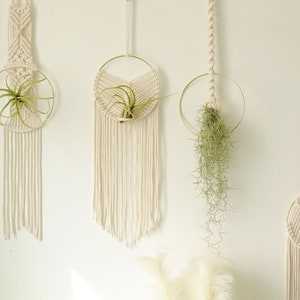 Macrame Air Plant holder, Stylish Bohemia air plant display hanger,Boho wall hanging home decor image 2