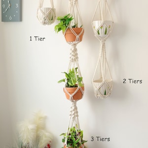 Op de afbeelding: Drie macramé plantenhangers met verschillende lagen. De eerste hanger heeft één laag, de tweede heeft twee lagen en de derde heeft drie lagen. Elke laag heeft een terracotta pot met een plant.