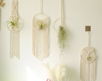 Macrame Air Plant holder, Stylish Bohemia air plant display hanger,Boho wall hanging home decor