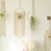 see more listings in the Macrame Air Plant Holder section