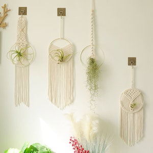 Macrame Air Plant holder, Stylish Bohemia air plant display hanger,Boho wall hanging home decor image 1