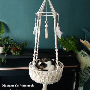 cat ceiling hammock