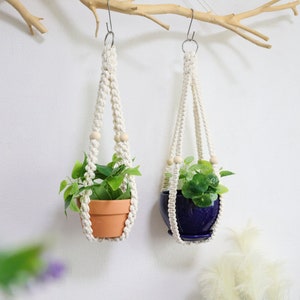 May include: Two white macrame plant hangers with wooden beads hanging from hooks. The hangers are holding potted plants with green leaves. One pot is blue and the other is terracotta.