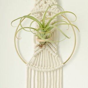 Macrame Air Plant holder, Stylish Bohemia air plant display hanger,Boho wall hanging home decor image 4