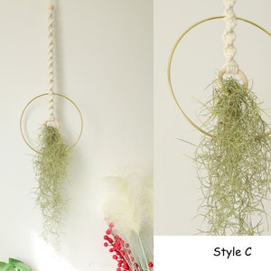 Macrame Air Plant holder, Stylish Bohemia air plant display hanger,Boho wall hanging home decor C