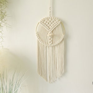 Macrame Air Plant holder, Stylish Bohemia air plant display hanger,Boho wall hanging home decor D