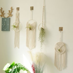 Macrame Air Plant holder, Stylish Bohemia air plant display hanger,Boho wall hanging home decor image 9