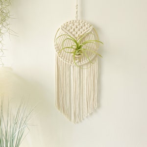 Macrame Air Plant holder, Stylish Bohemia air plant display hanger,Boho wall hanging home decor image 7