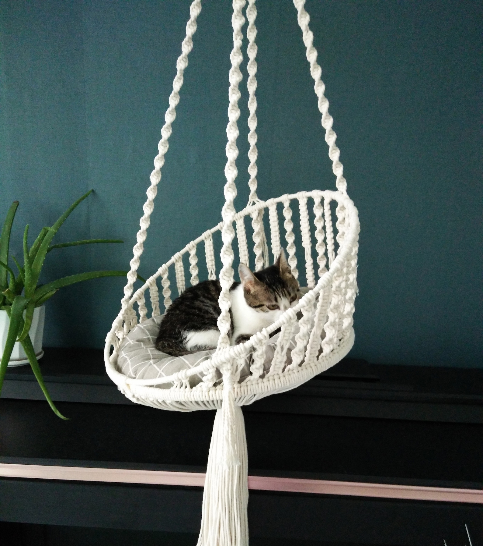 macramé hamac chat