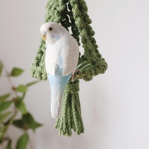 Puede incluir: Un juguete para pájaros de macramé verde con un periquito blanco y azul posado en él. El juguete está colgado del techo.