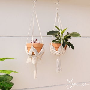 May include: Two white macrame plant hangers with terracotta pots and green plants. The hangers have a scalloped design and tassels.