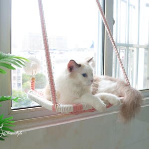 Personalized Macrame Cat window bed, Cat wall furniture/wall step/wall shelf/wall hammock for window with four 8cm strong glass suction cups