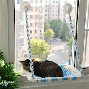 May include: A cat naps in a blue and white hammock hanging from a window. The hammock is made of woven rope and is attached to the window with suction cups.