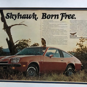 70&#39;s Buick Skyhawk Born Free original print Advertisement 2 pages