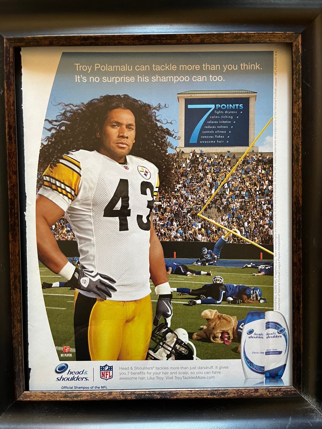 00's Troy Polamalu Head & Shoulders Advertisement - Etsy