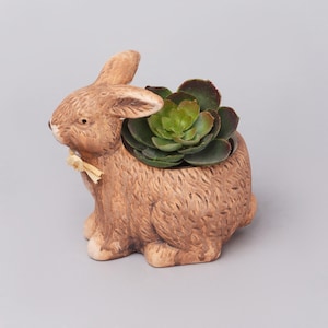 May include: A brown ceramic bunny planter with a green succulent plant. The bunny has a textured surface, a small bow, and a hollowed-out back to hold the plant. The succulent has green and burgundy leaves.