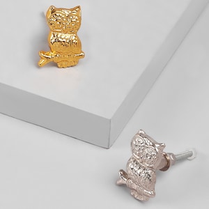 May include: Two decorative owl-shaped cabinet knobs. One is gold-colored and sits on a white surface. The other is silver-colored and has a screw for installation. Both knobs are detailed with textured feathers.