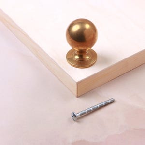 May include: A spherical brass cabinet knob with a smooth, polished finish and a circular base, mounted on a light-coloured wooden panel. A single silver-toned metal screw with a flat head and threaded shaft is positioned separately below the knob.