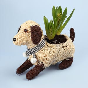 May include: A dog-shaped planter crafted from woven natural fibres, with brown detailing on the ears, paws, and tail. It has a black and white checked scarf and contains a green plant. This decorative dog planter is a charming garden accessory.