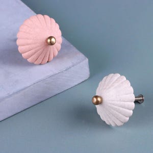 Può includere: Due pomelli decorativi per mobili. Uno è rosa chiaro, l'altro bianco. Entrambi hanno un design a conchiglia con un centro dorato. I pomelli sono su una superficie azzurra.