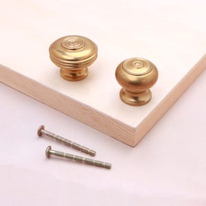 May include: Two round brass cabinet knobs with a concentric circle design on the top surface and a tapered base. The knobs feature a polished metallic finish and are accompanied by two matching threaded metal bolts for installation purposes.