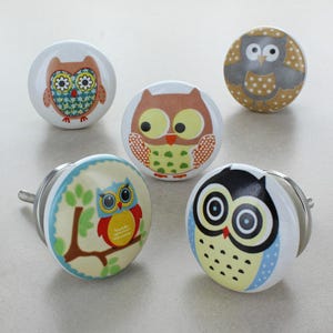 May include: Five ceramic cabinet knobs with owl designs. Each knob features a different owl illustration in various colors, including brown, yellow, blue, and green, set against a white background. The knobs have a metal base and screw.