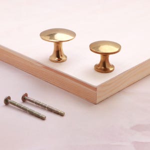May include: Two polished brass cabinet knobs with a smooth, rounded top and a tapered base, featuring a shiny metallic finish. Two long, threaded metal mounting screws are positioned separately, ready for installation on a flat surface.