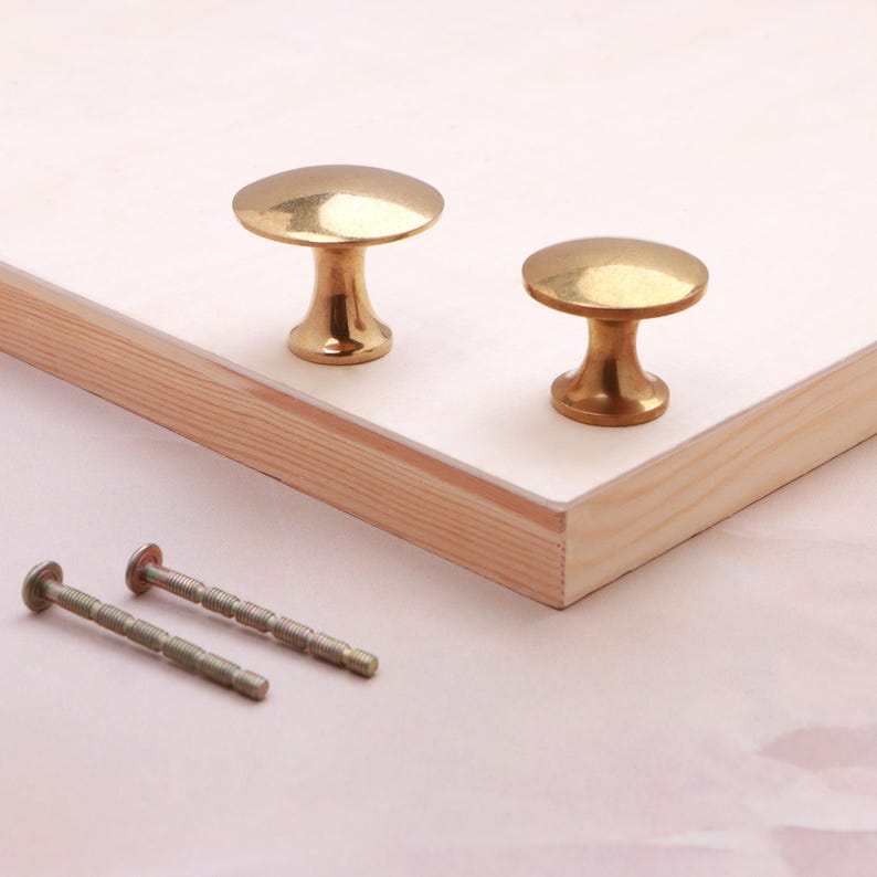 May include: Two polished brass cabinet knobs with a smooth, rounded top and a tapered base, featuring a shiny metallic finish. Two long, threaded metal mounting screws are positioned separately, ready for installation on a flat surface.
