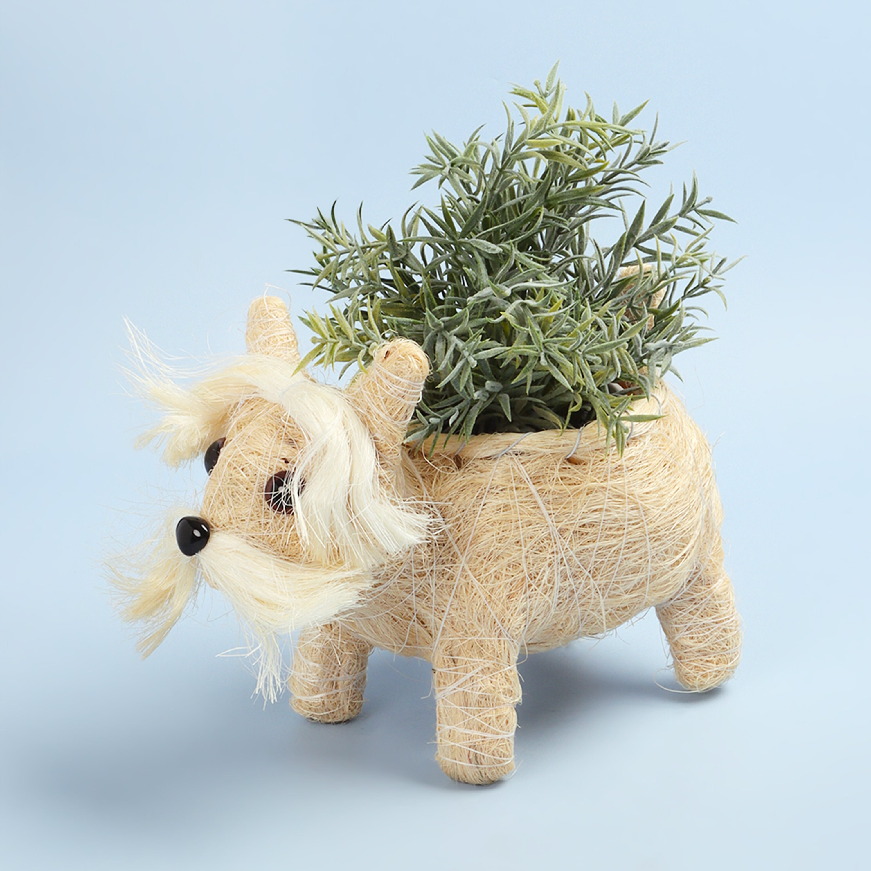 Dazone Arch Soporte De Metal Para Plantas Con Maceta Con 3soportes Organizador De Macetas Negro