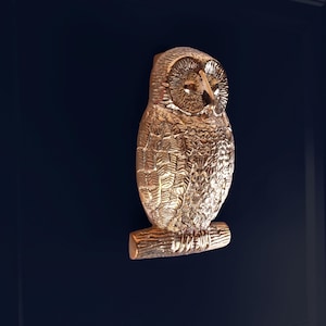 May include: A gold-colored owl door knocker. The owl is perched on a log, with detailed feather and facial features. The knocker is mounted on a dark blue door.