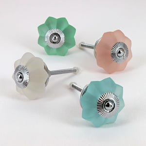 Può includere: Quattro pomelli decorativi per mobili in colori pastello: verde menta, rosa pallido, bianco sporco e blu acqua. Ogni pomello presenta un design a forma di fiore con finitura satinata e base e vite in metallo argentato.
